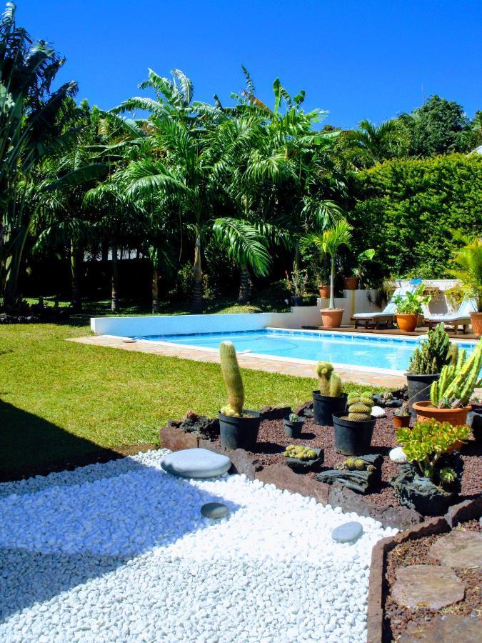Villa Arbre Du Voyageur, 4 Etoiles Et 4 Clevacances Noël Zewnętrze zdjęcie