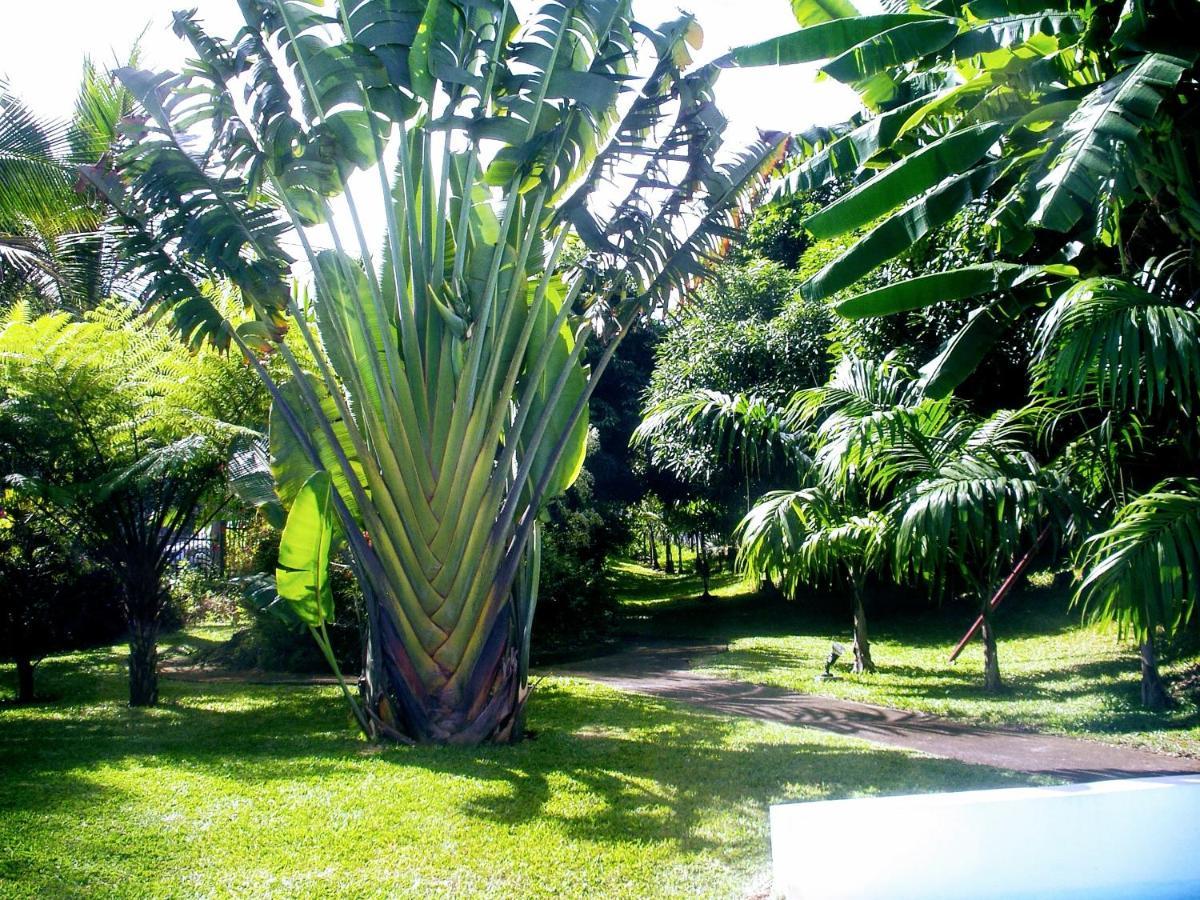 Villa Arbre Du Voyageur, 4 Etoiles Et 4 Clevacances Noël Zewnętrze zdjęcie