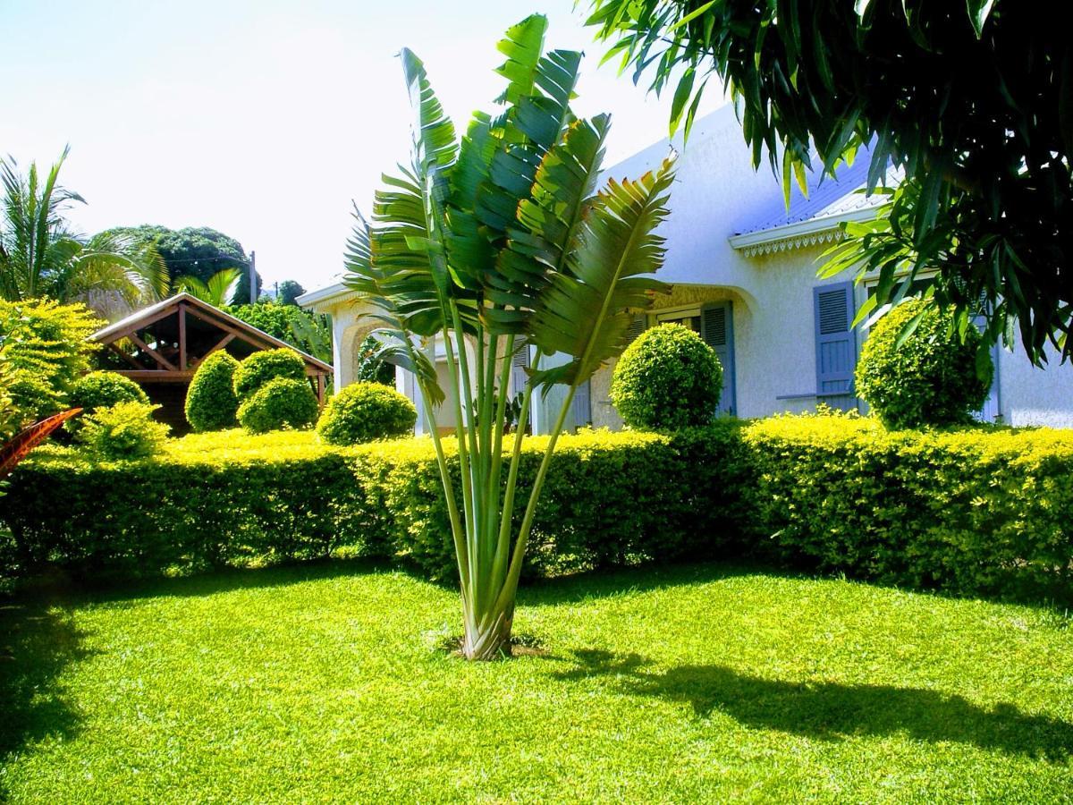 Villa Arbre Du Voyageur, 4 Etoiles Et 4 Clevacances Noël Zewnętrze zdjęcie