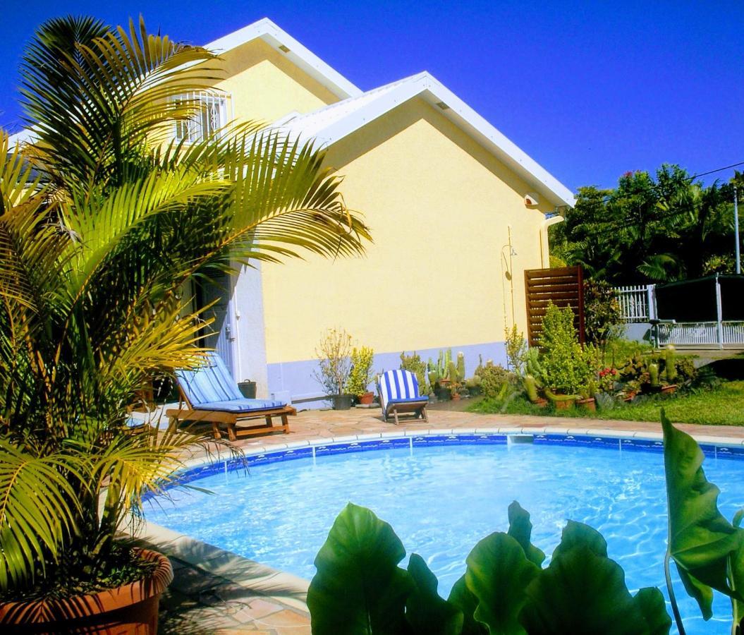 Villa Arbre Du Voyageur, 4 Etoiles Et 4 Clevacances Noël Zewnętrze zdjęcie