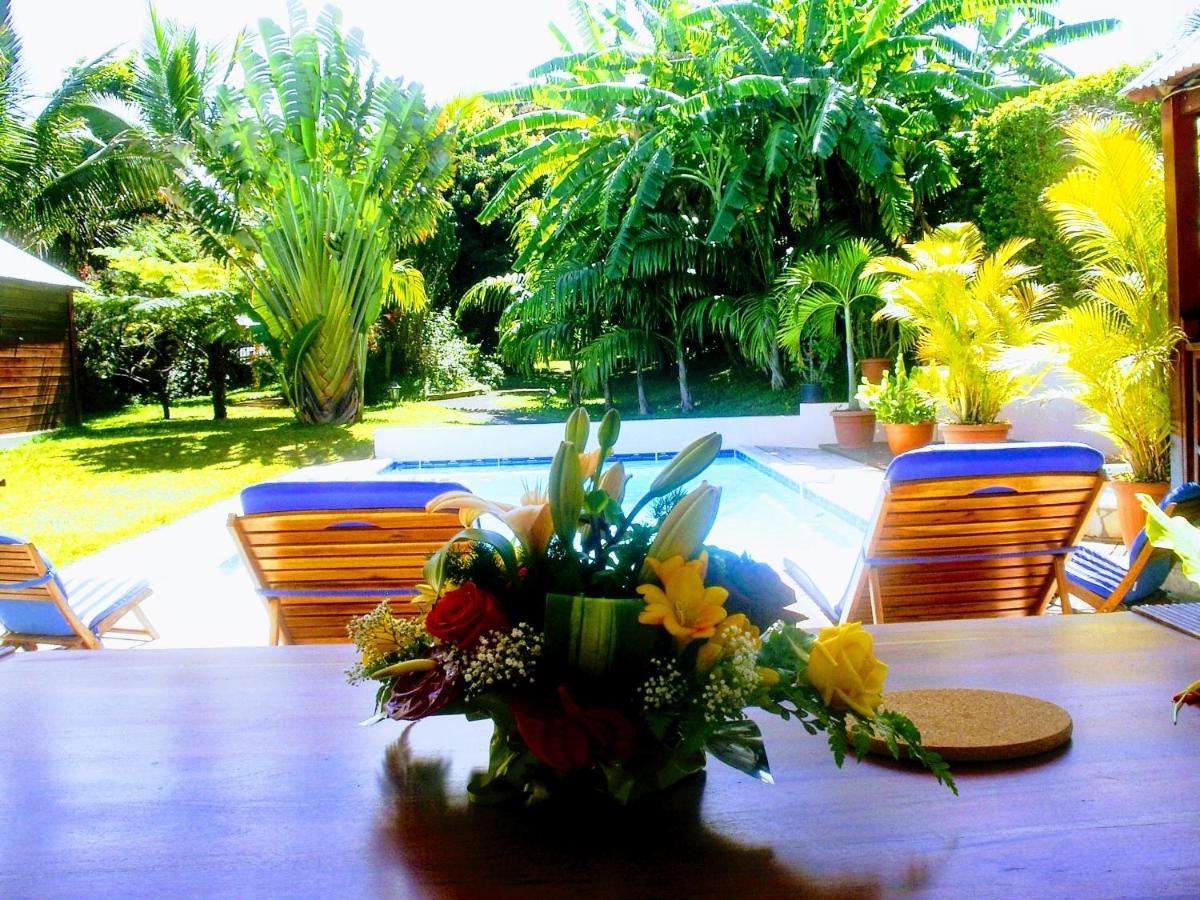 Villa Arbre Du Voyageur, 4 Etoiles Et 4 Clevacances Noël Zewnętrze zdjęcie