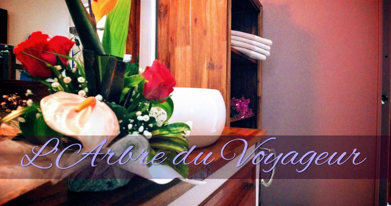 Villa Arbre Du Voyageur, 4 Etoiles Et 4 Clevacances Noël Zewnętrze zdjęcie