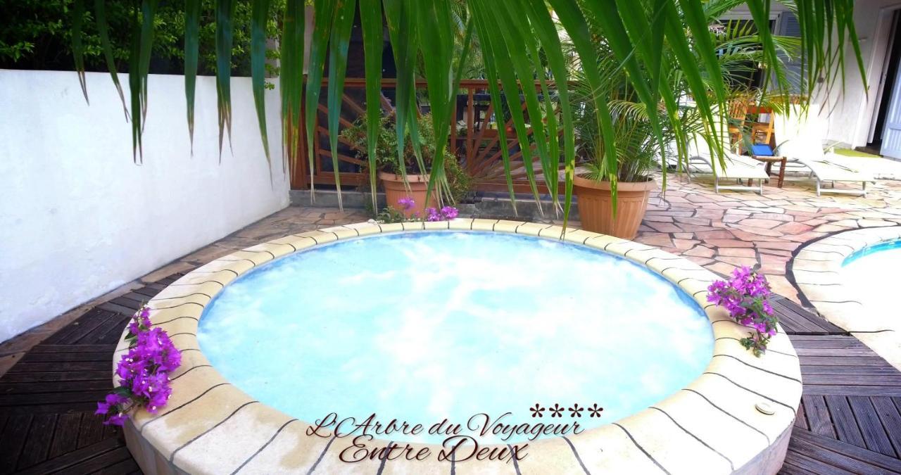 Villa Arbre Du Voyageur, 4 Etoiles Et 4 Clevacances Noël Zewnętrze zdjęcie